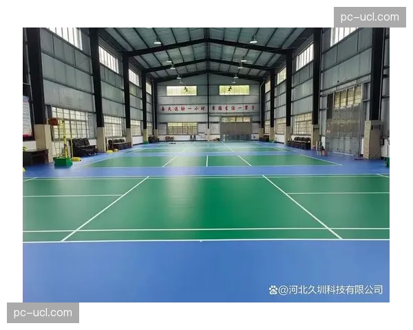 飞翼启用全新训练馆,配备反物理弹跳地板以强化球员转换速度训练 飞翼启用全新训练馆,配备反物理弹跳地板以强化球员转换速度训练